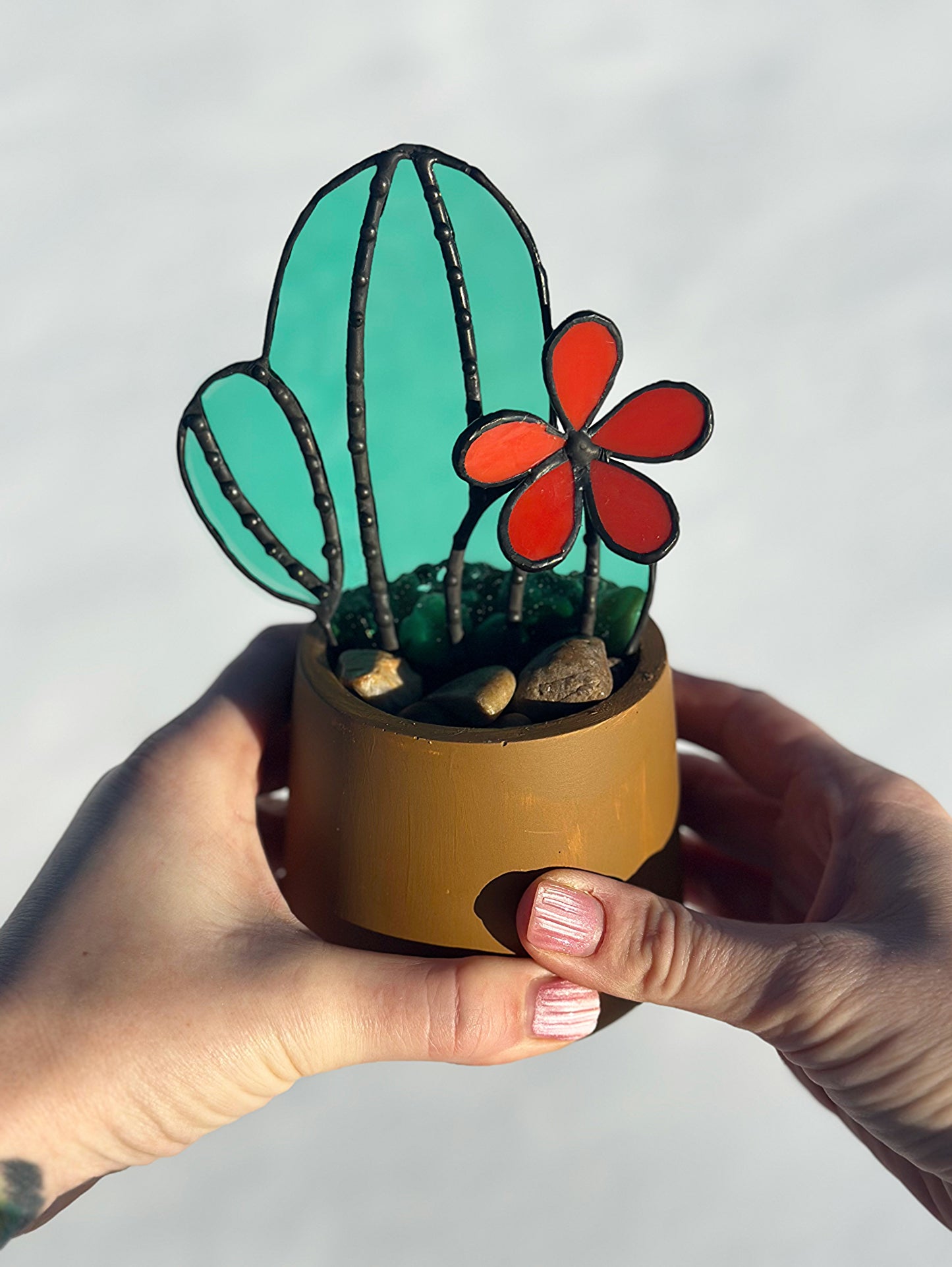 Succulent - Red Flower