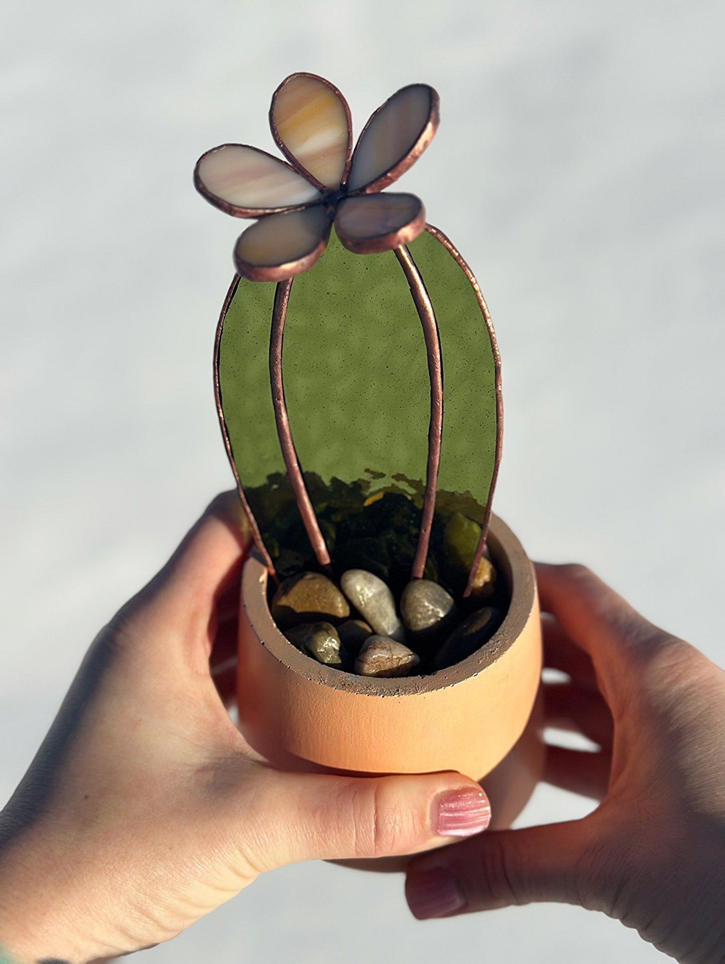 Succulent - Mauve Flower